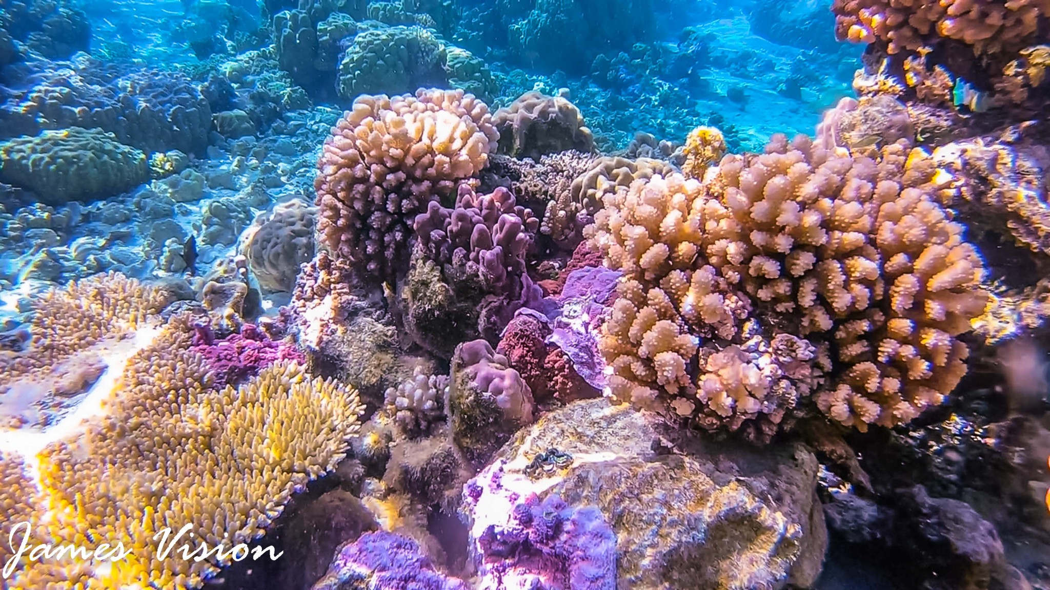 大溪地自助遊攻略