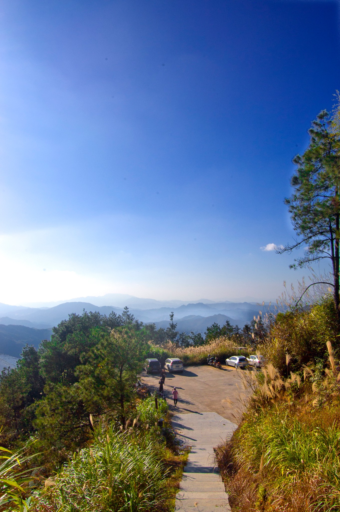 【摩旅】平和桥上书屋,闽南第一峰大芹山,平和旅游攻略 - 马蜂窝