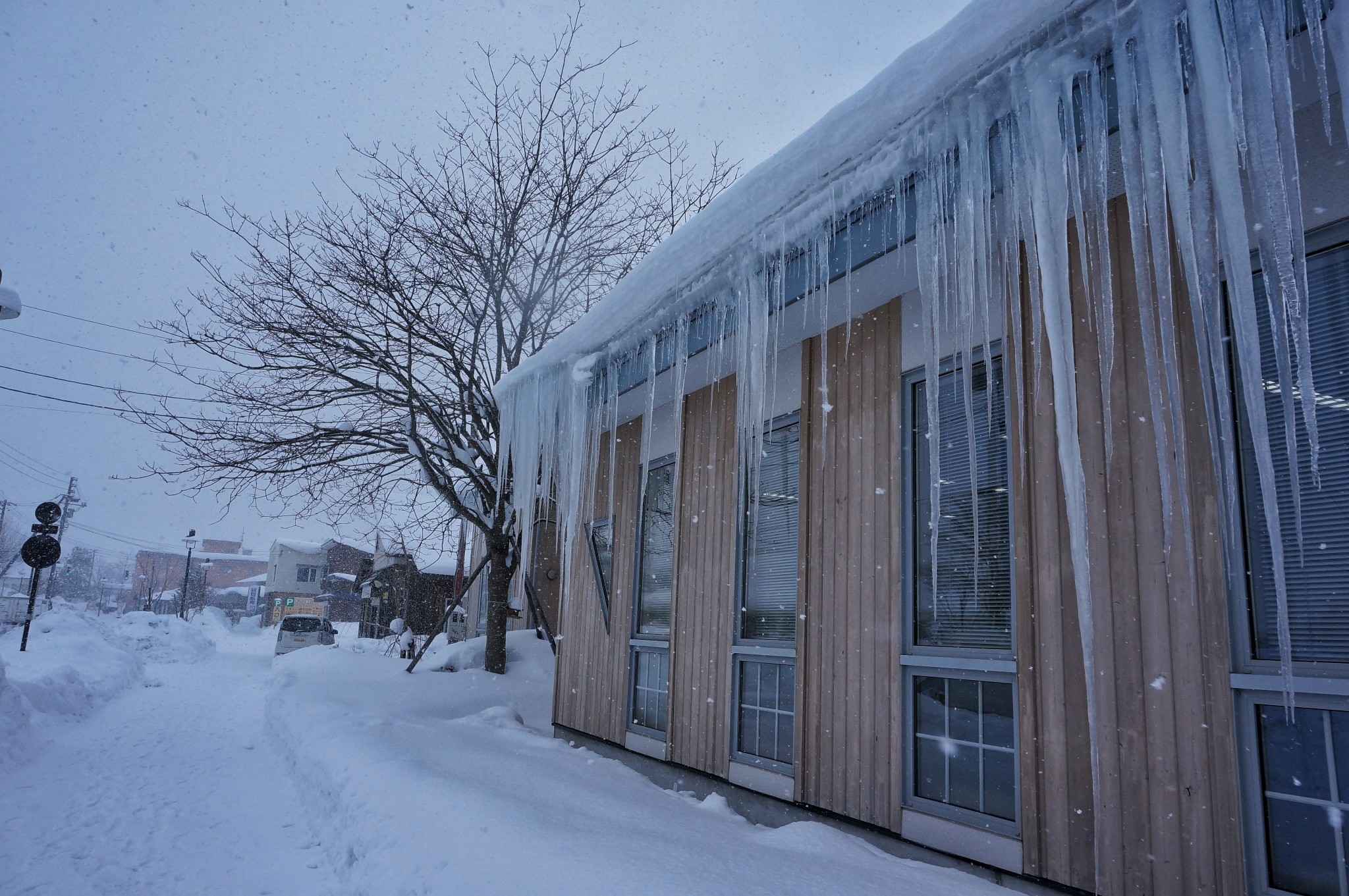 北海道自助遊攻略