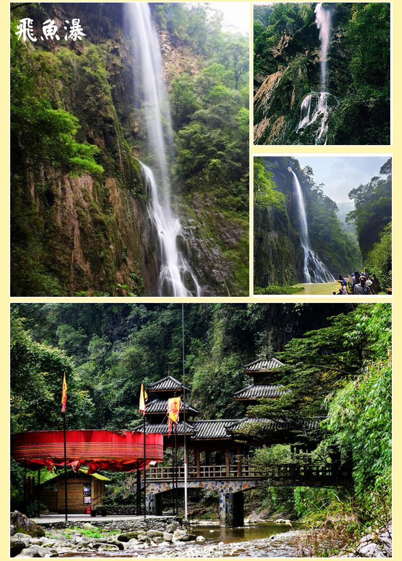 養生推薦·重慶萬盛黑山谷純玩健走一日遊(主城五區定點接 含黑山谷