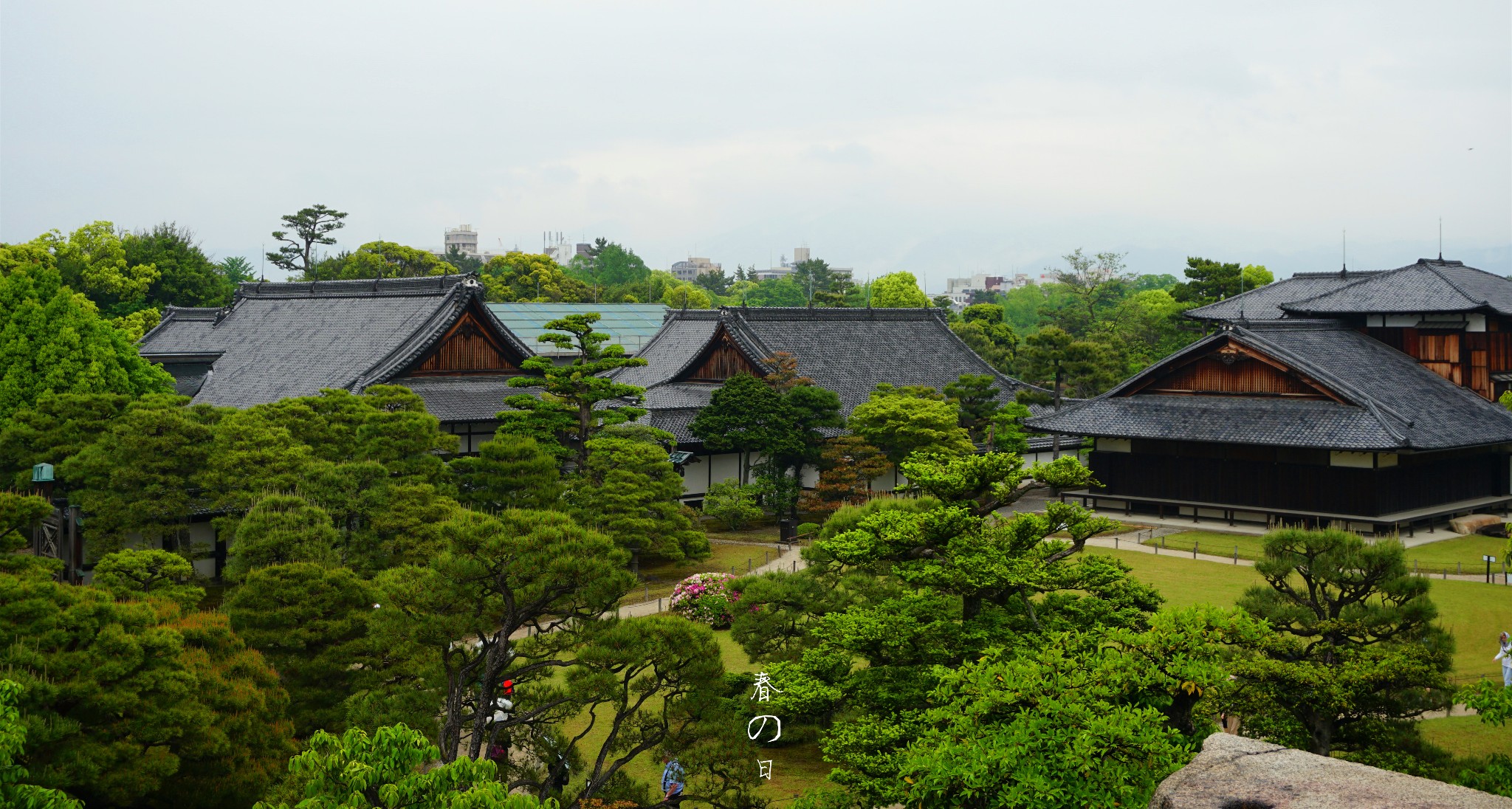 京都自助遊攻略