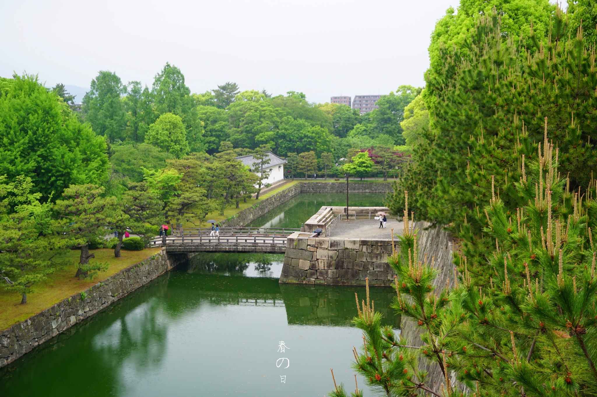 京都自助遊攻略