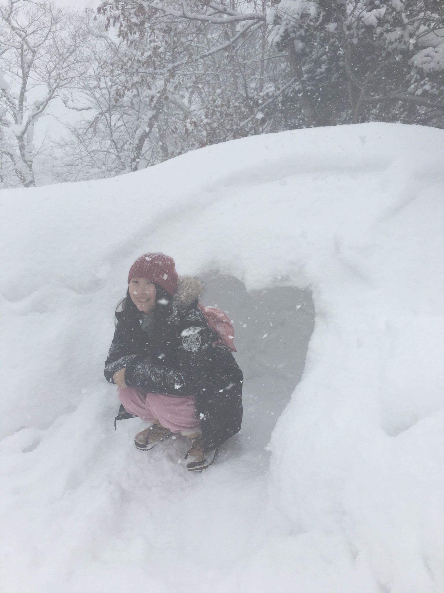 北海道自助遊攻略