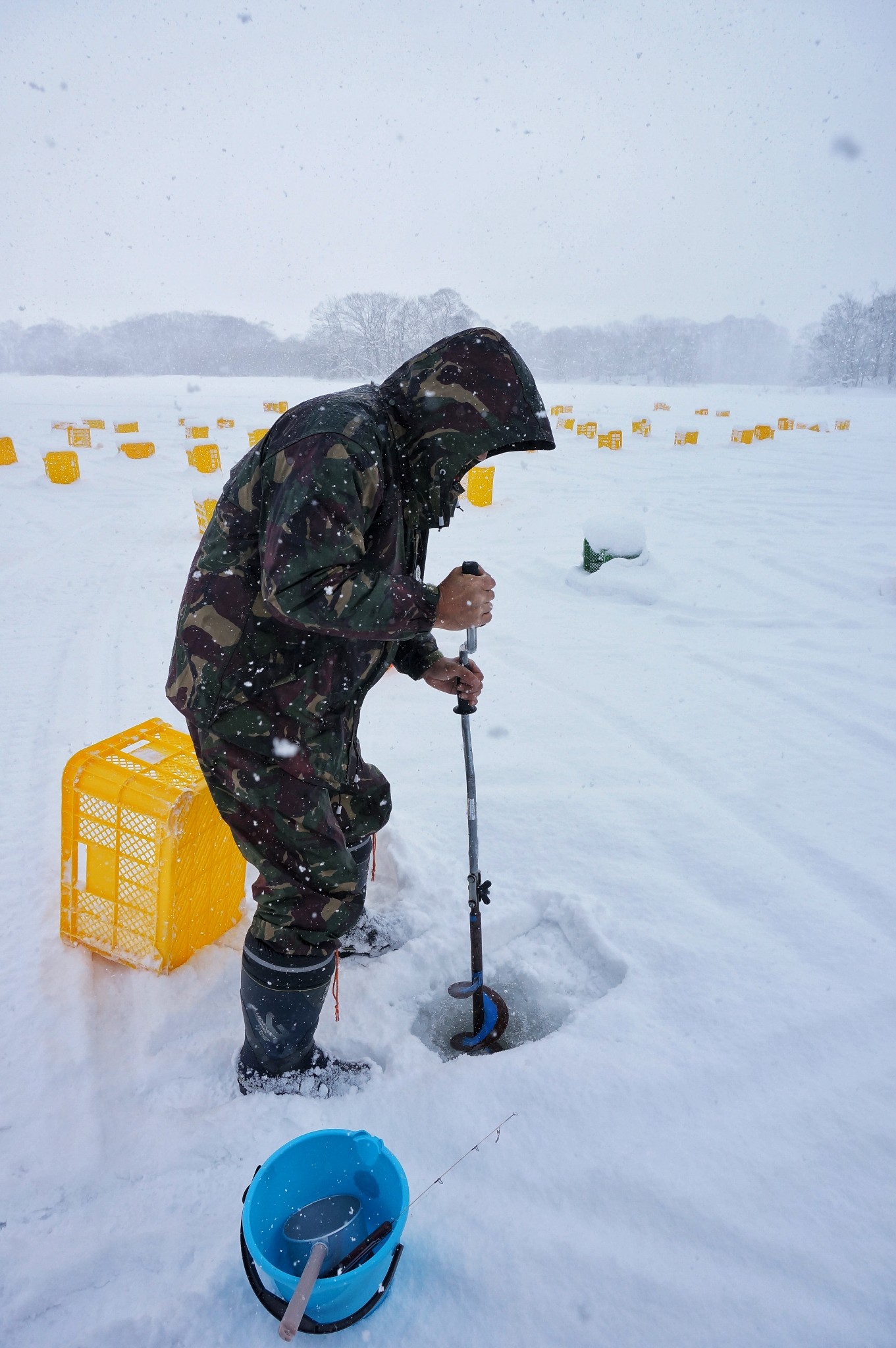 北海道自助遊攻略