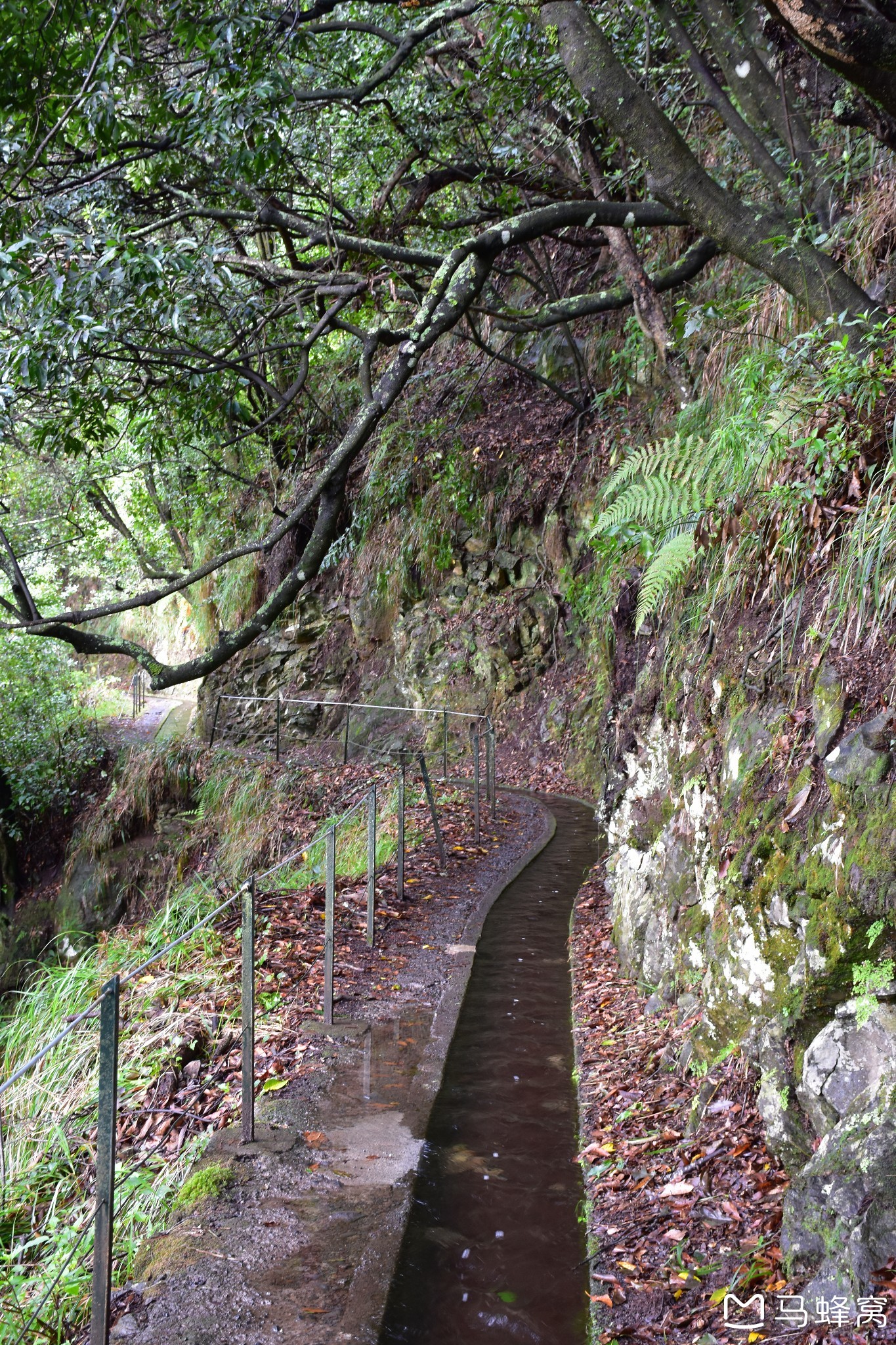 馬德拉群島自助遊攻略