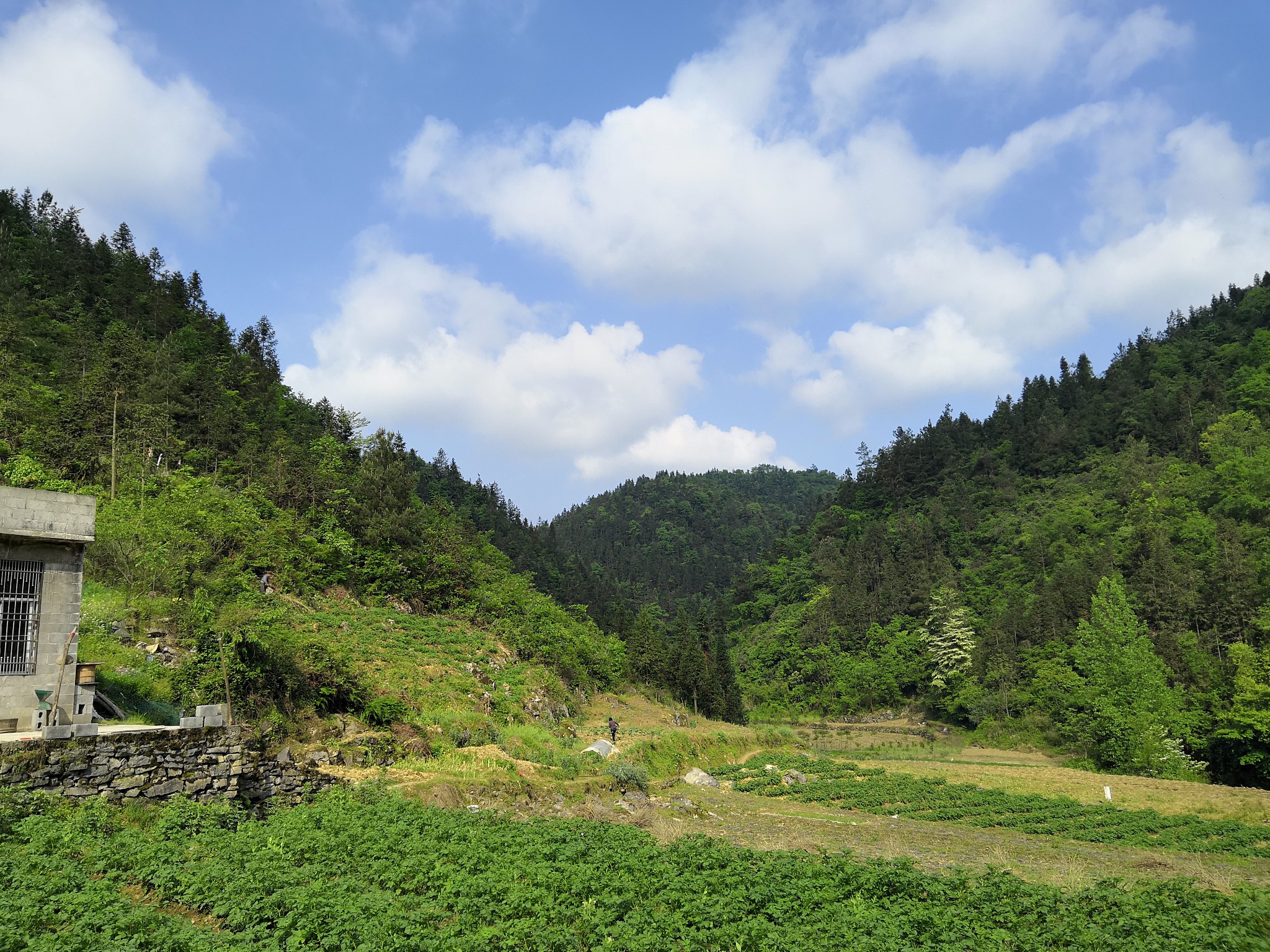 清江古河床,三峽人家_遊記