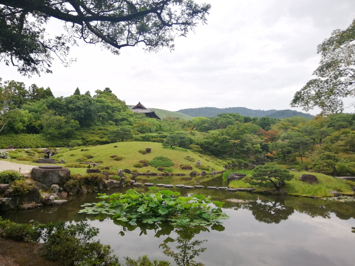 京都自助遊攻略