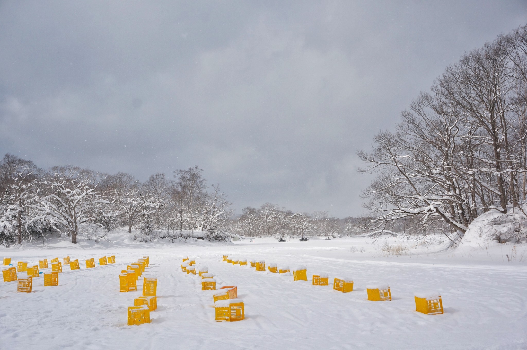 北海道自助遊攻略