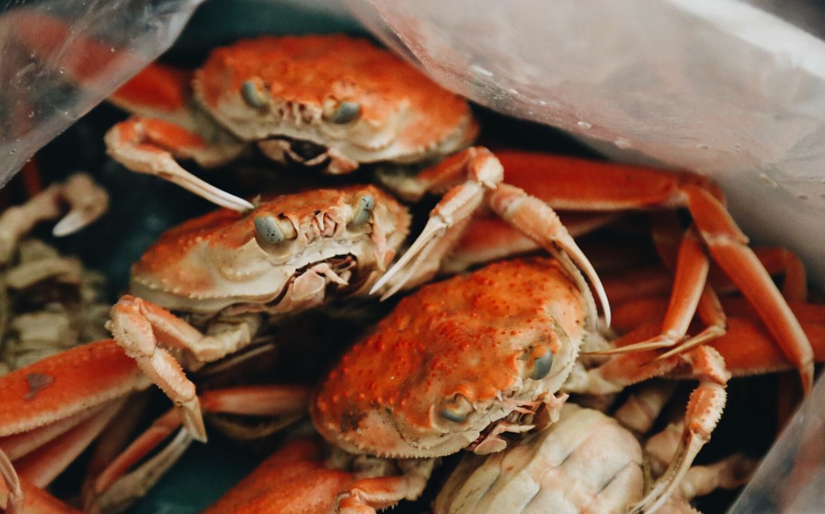 除了北海道 金泽的近江町市场是蟹奴们的第二个天堂 马蜂窝