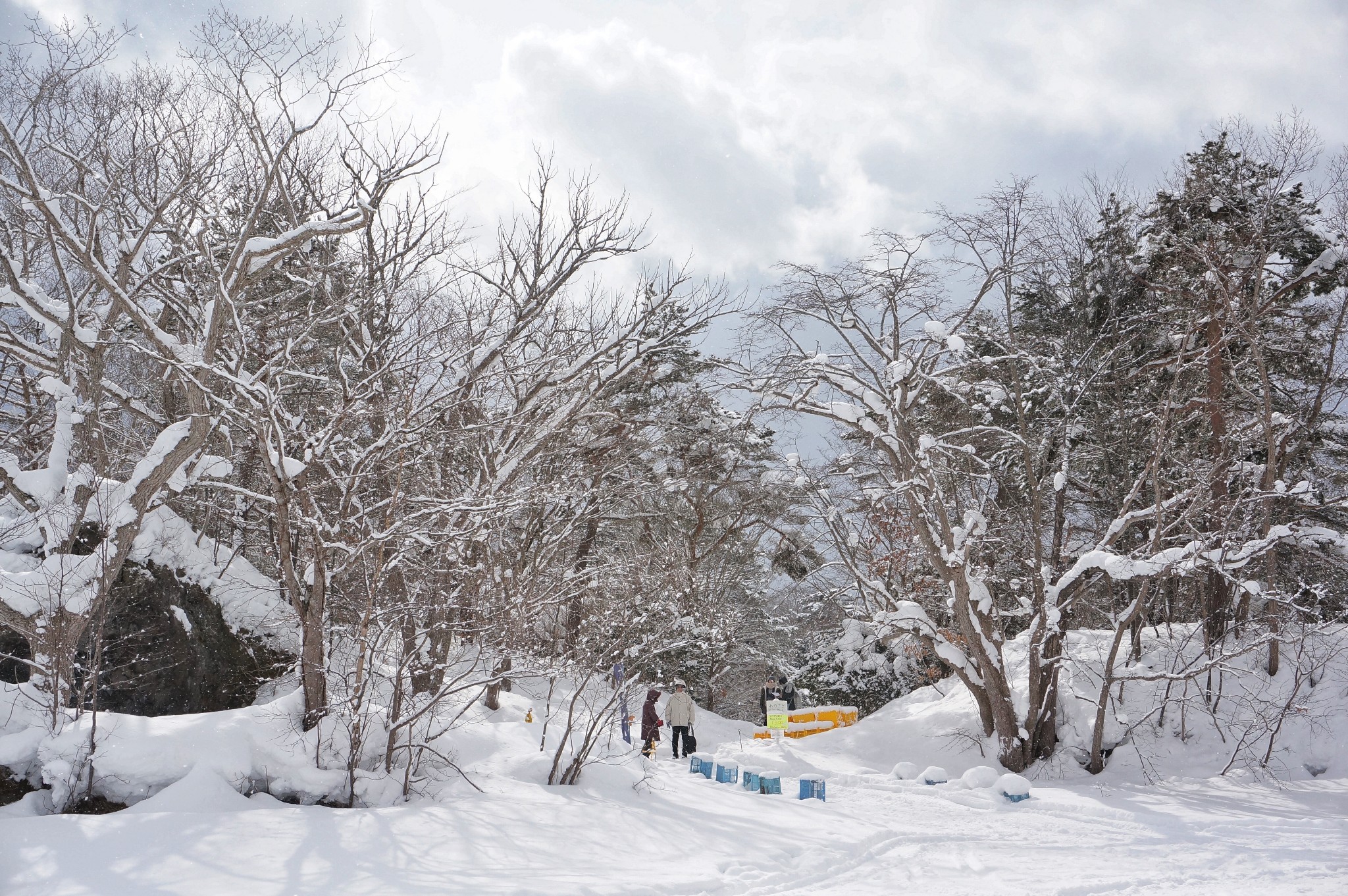 北海道自助遊攻略