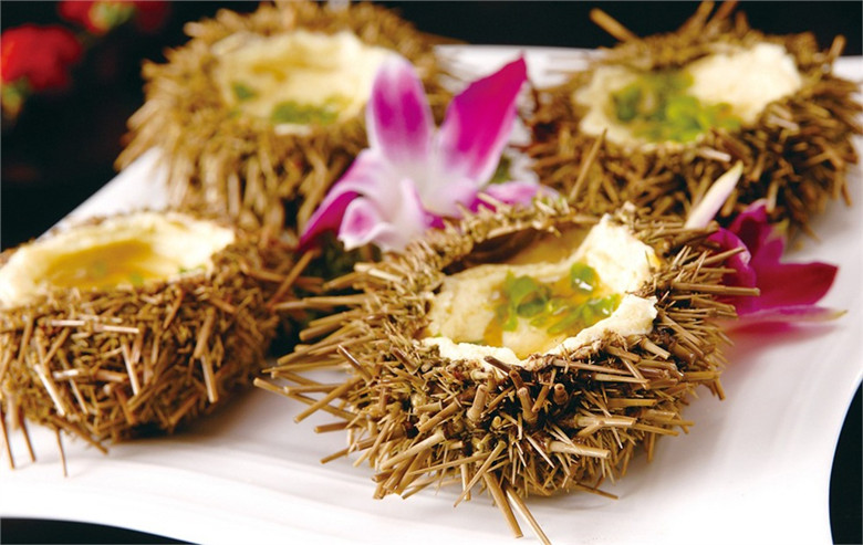 海胆像略扁的圆球,浑身长刺,活像一个带刺的紫色仙人球,俗称海刺猬或