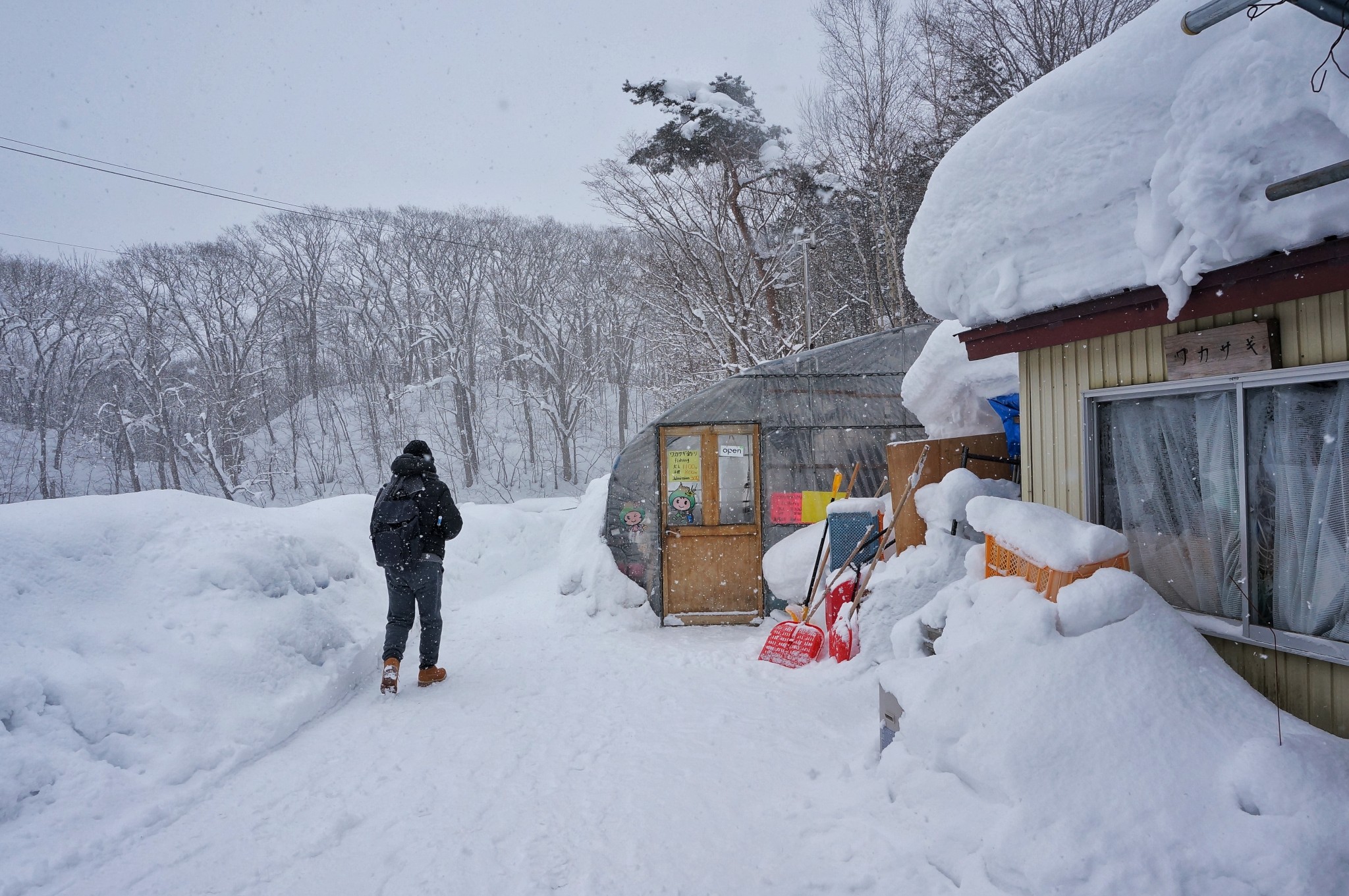 北海道自助遊攻略