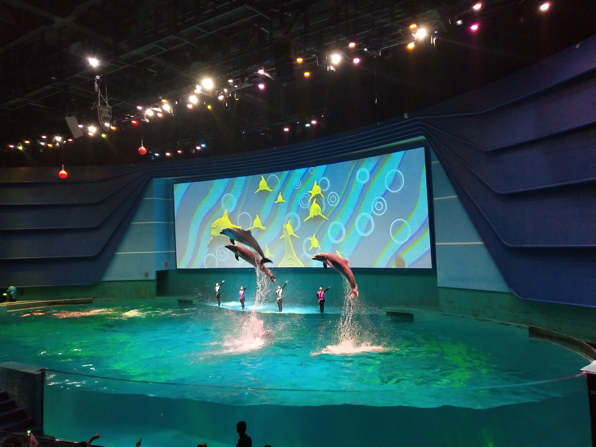 摩天轮少女心之旅南昌之行