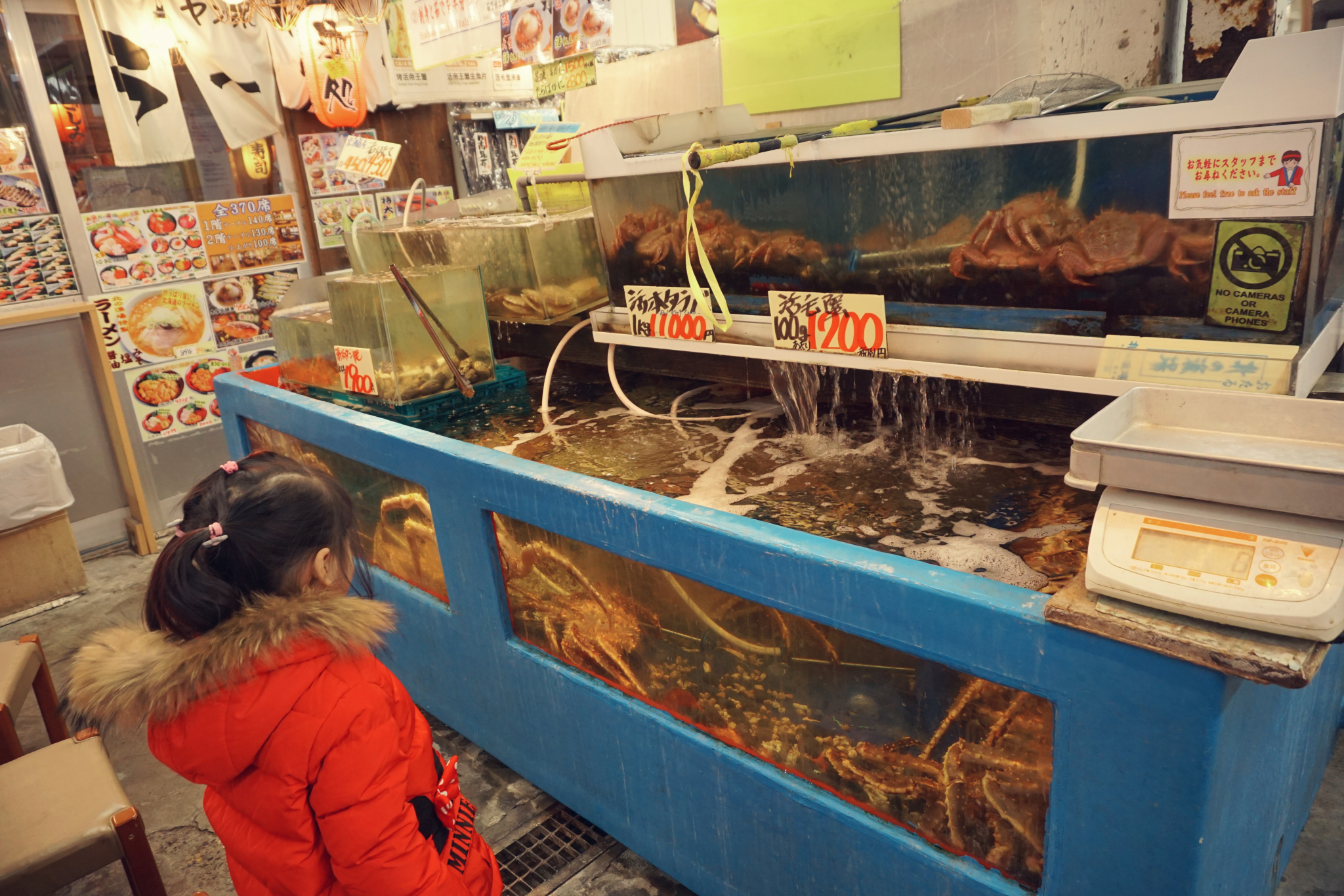 北海道自助遊攻略