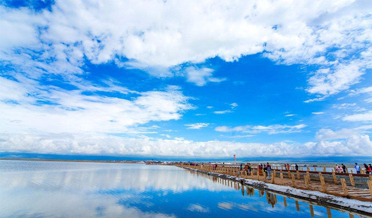 兰州西宁塔尔寺青海湖茶卡金银滩小环湖纯玩4天3晚天镜茶卡醉美青海