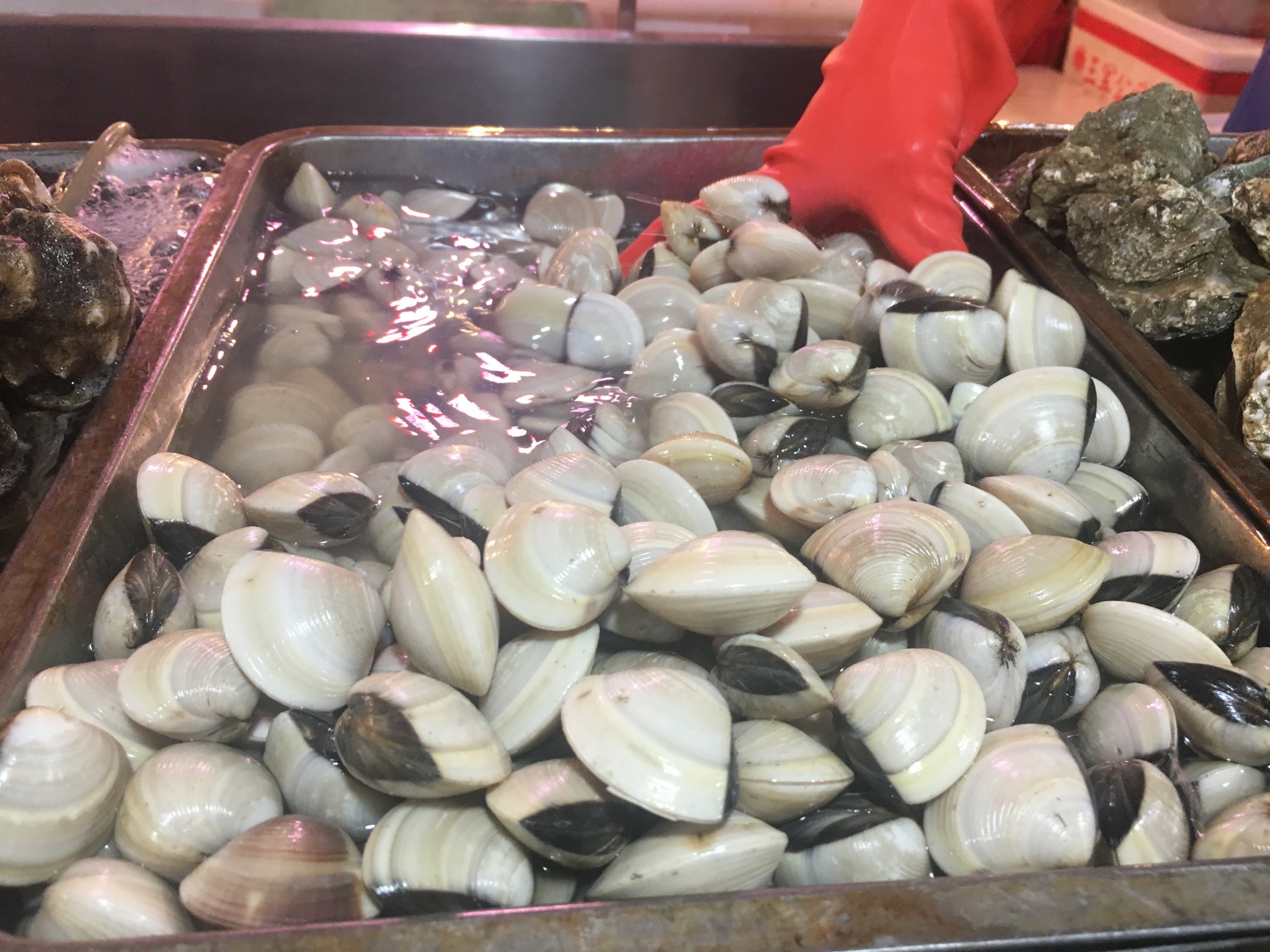             海白螺也很便宜,适合