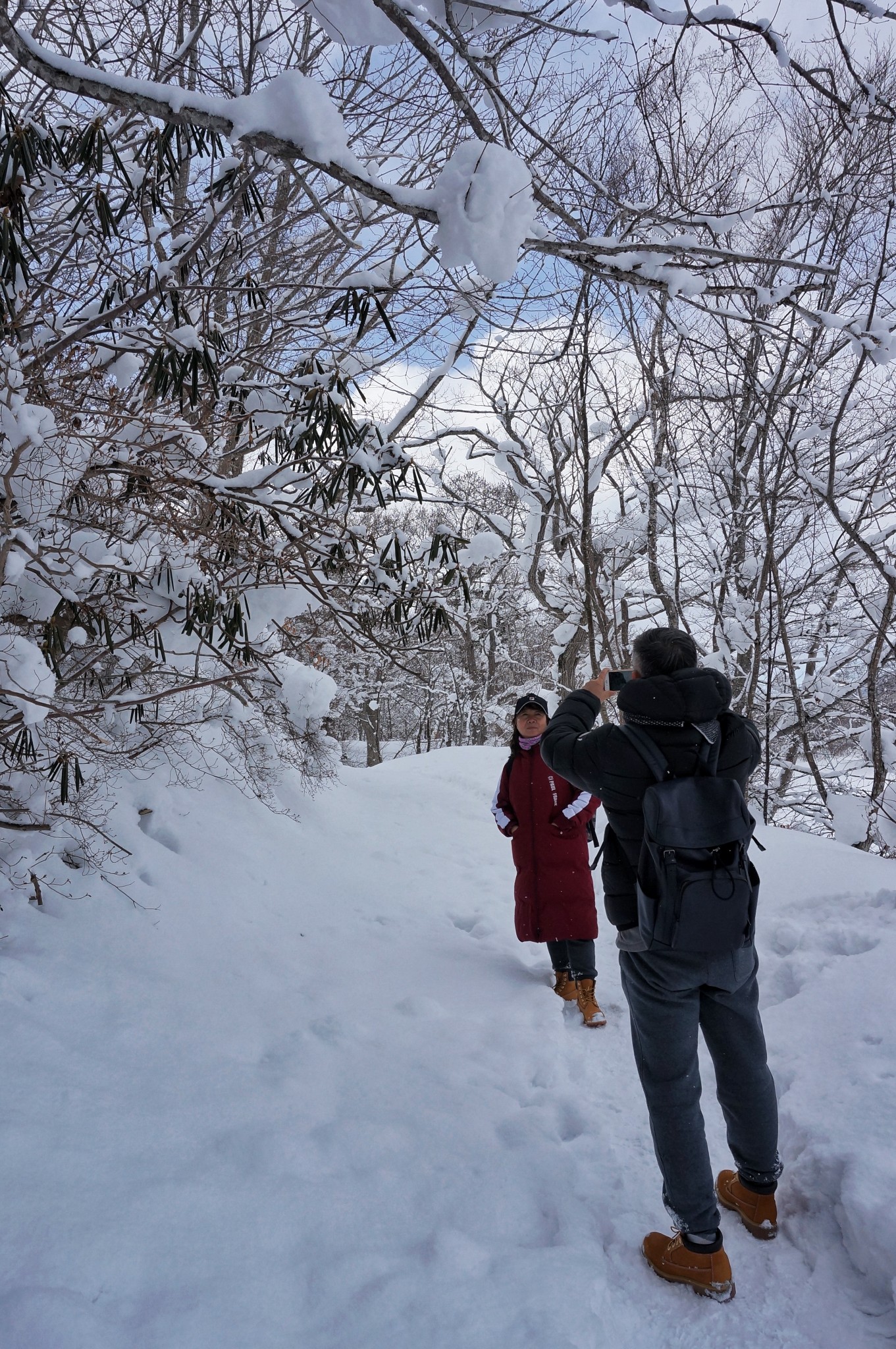 北海道自助遊攻略