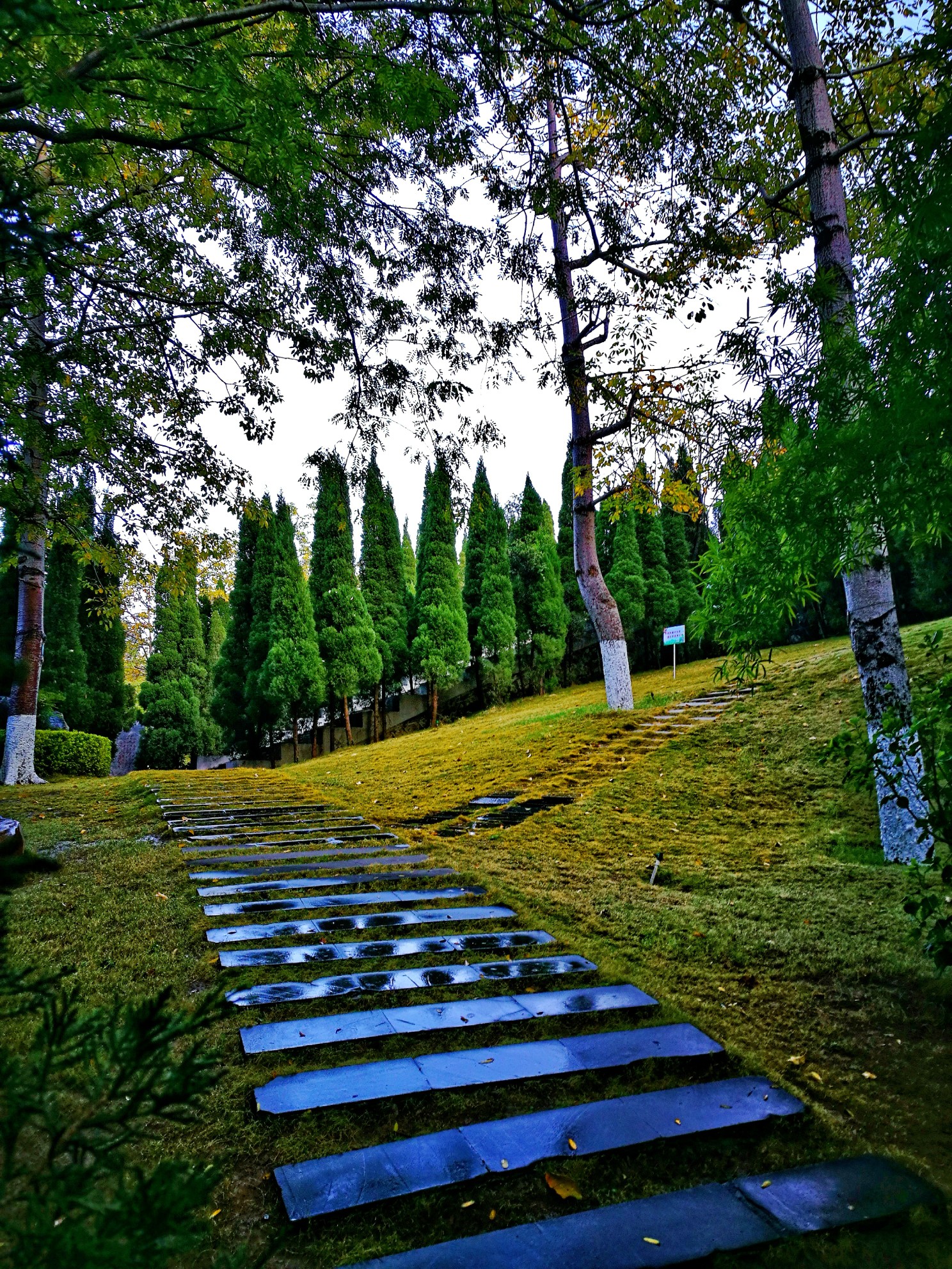 攀枝花公園61光影的變遷