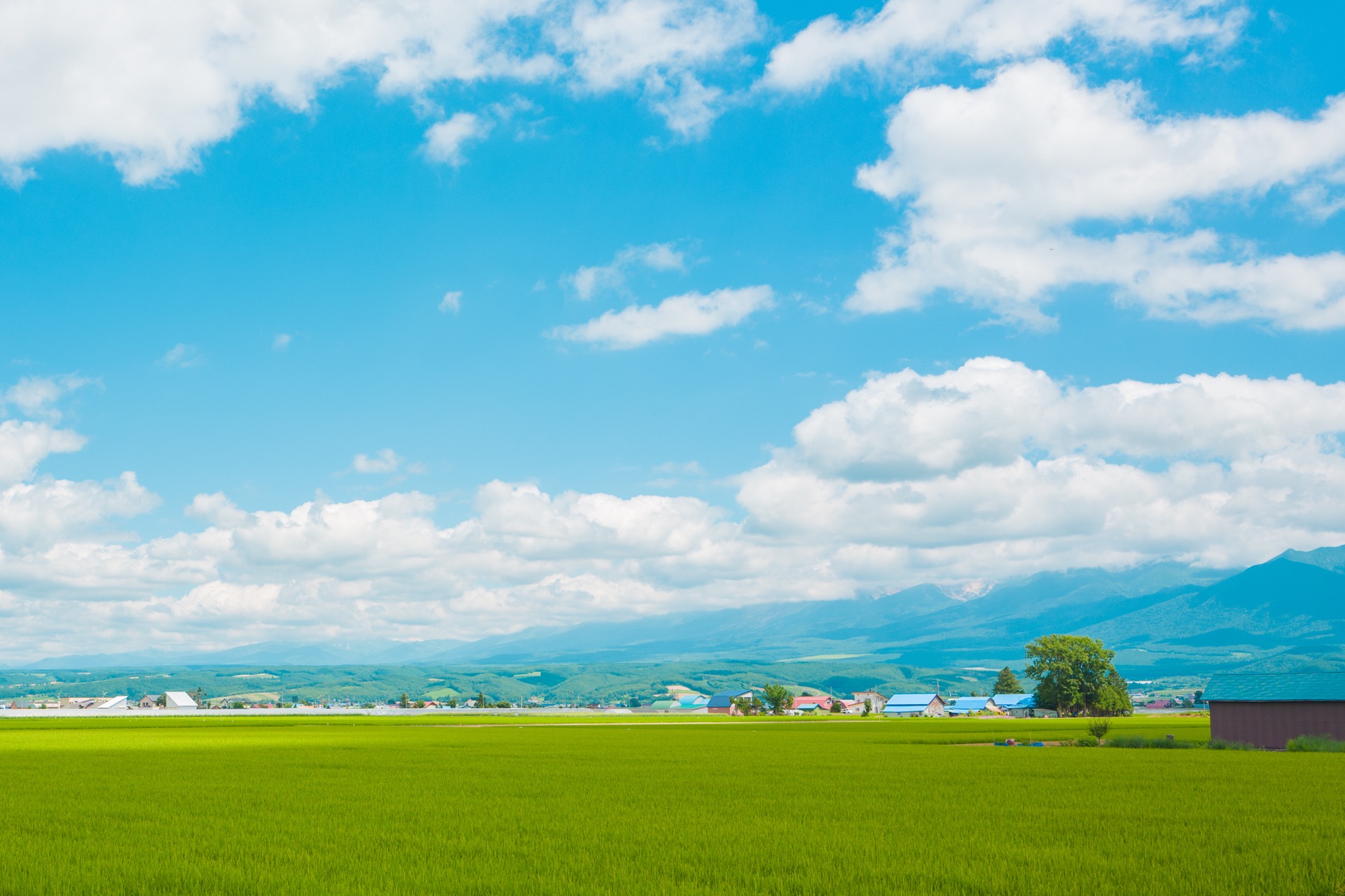 北海道自助遊攻略