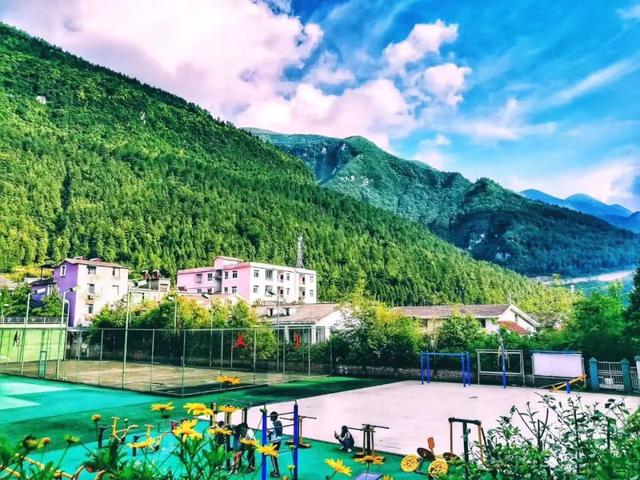 走进涪陵大木林下花园这样的花海值得被偏爱