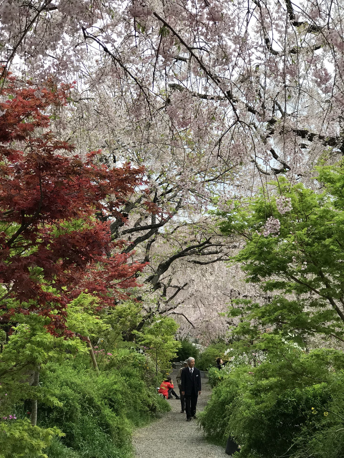 京都自助遊攻略