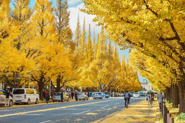 東京自助遊攻略