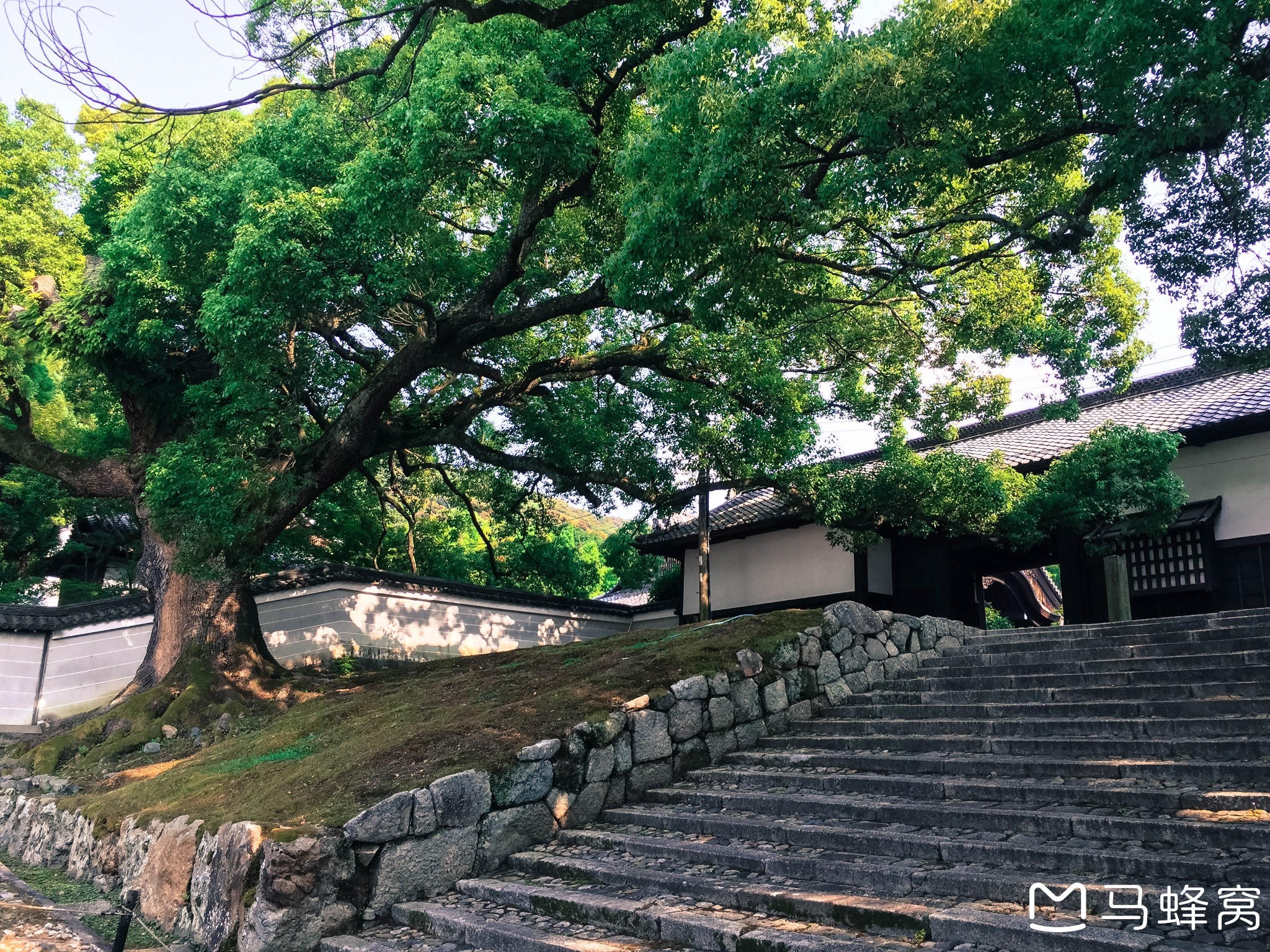 京都自助遊攻略