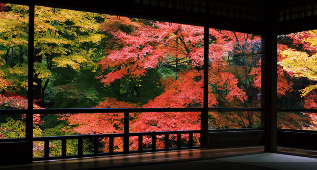 京都暴走一日游攻略（附合理线路推荐）