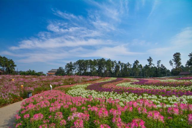 四川省成都市蒲江县 石象湖景区门票