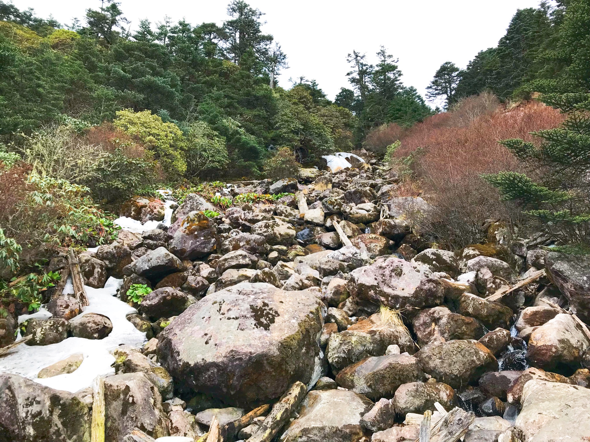 瀘沽湖自助遊攻略