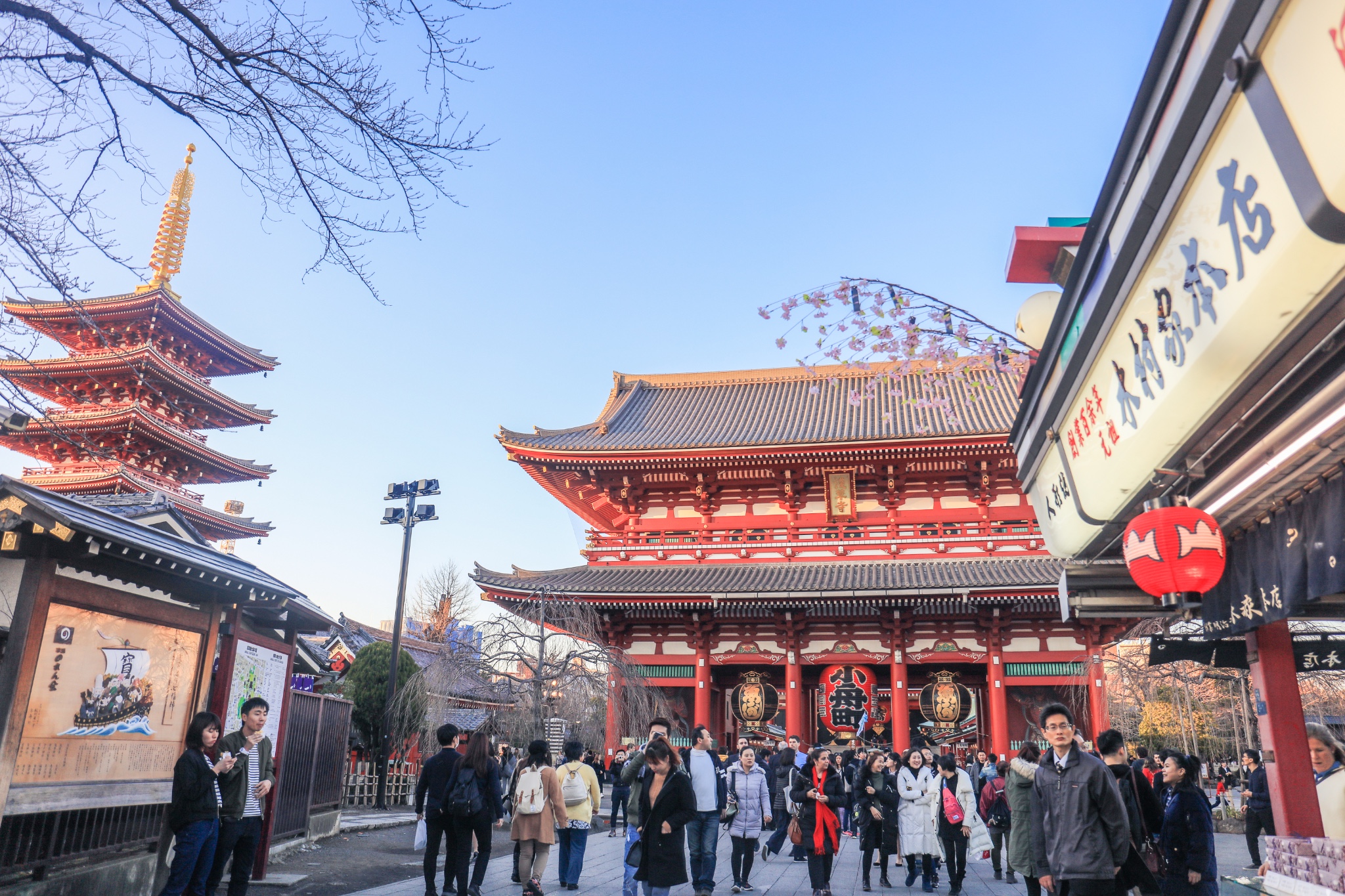 途牛首发 蛙系旅行再渡霓虹 随遇而安 内含药妆店购物指南 东京 攻略游记 途牛