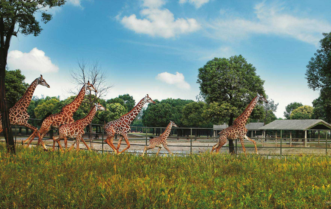 秦皇岛野生动物园成人电子票(热门预订 品质保障)