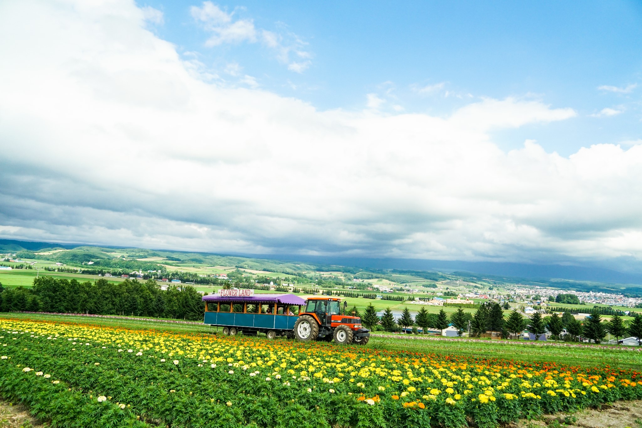 北海道自助遊攻略