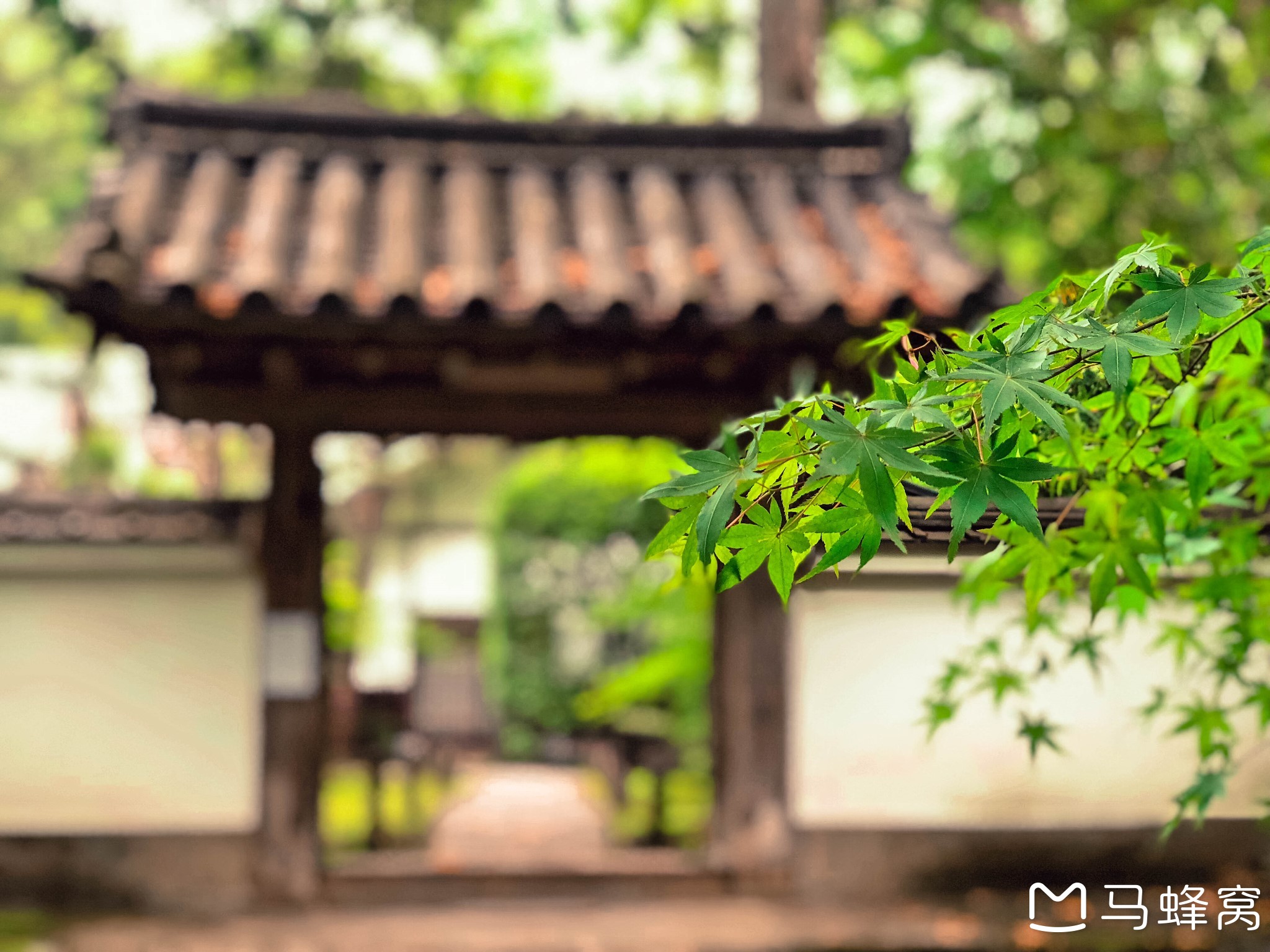 京都自助遊攻略