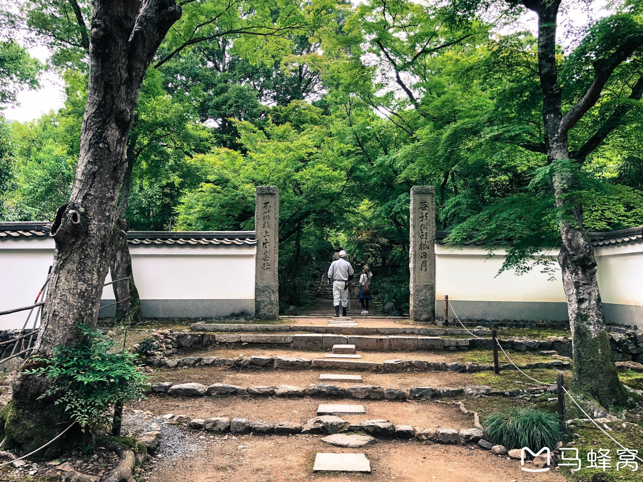 京都自助遊攻略