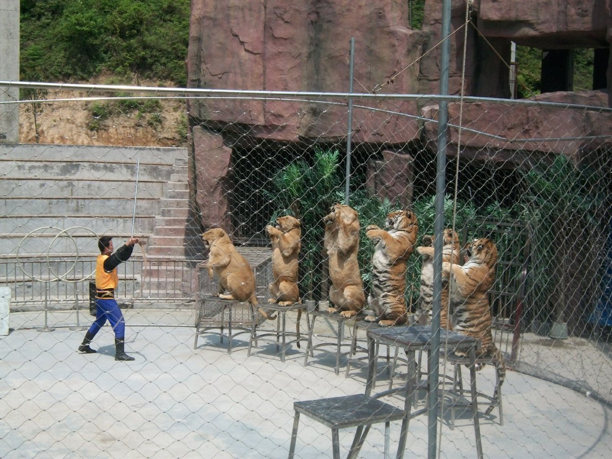 金華動物園電子門票