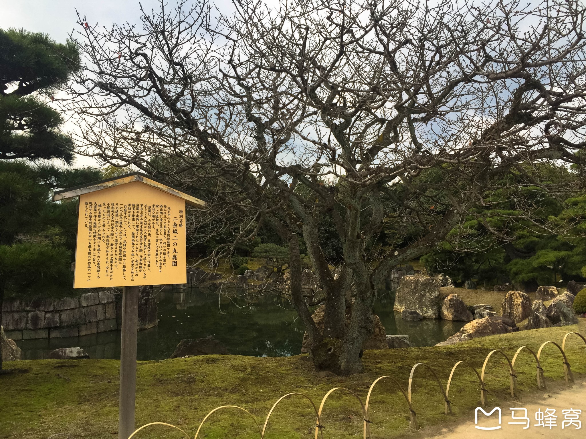 京都自助遊攻略