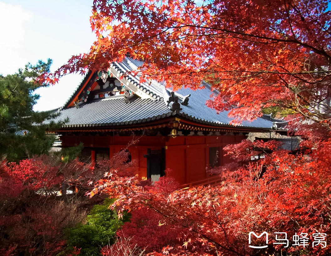 京都自助遊攻略