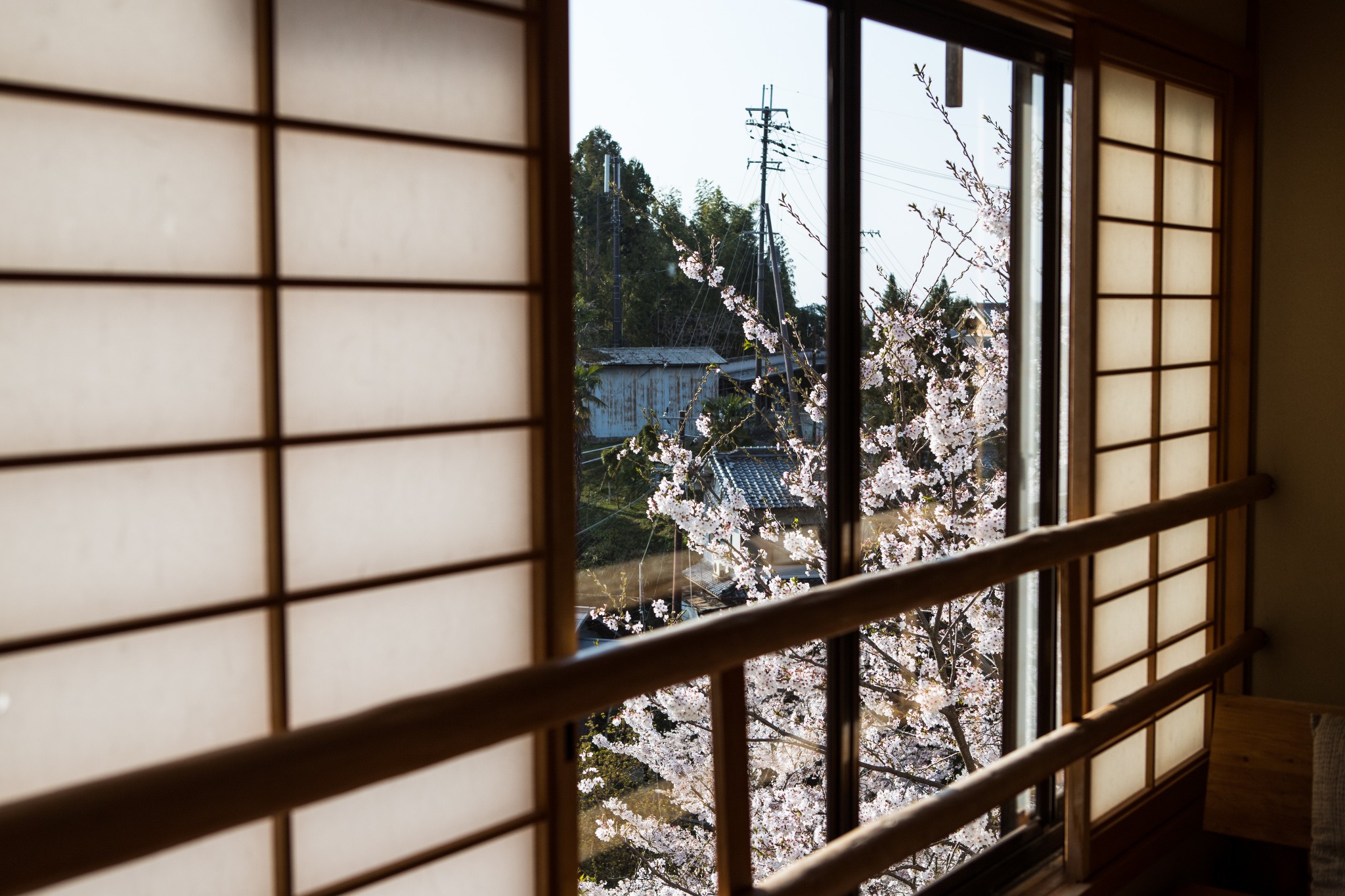 和歌山市自助遊攻略