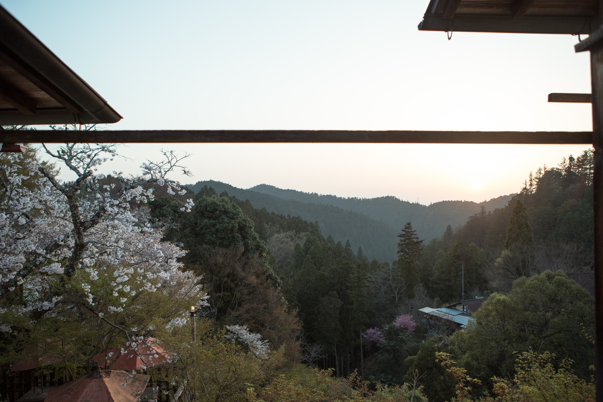 和歌山市自助遊攻略