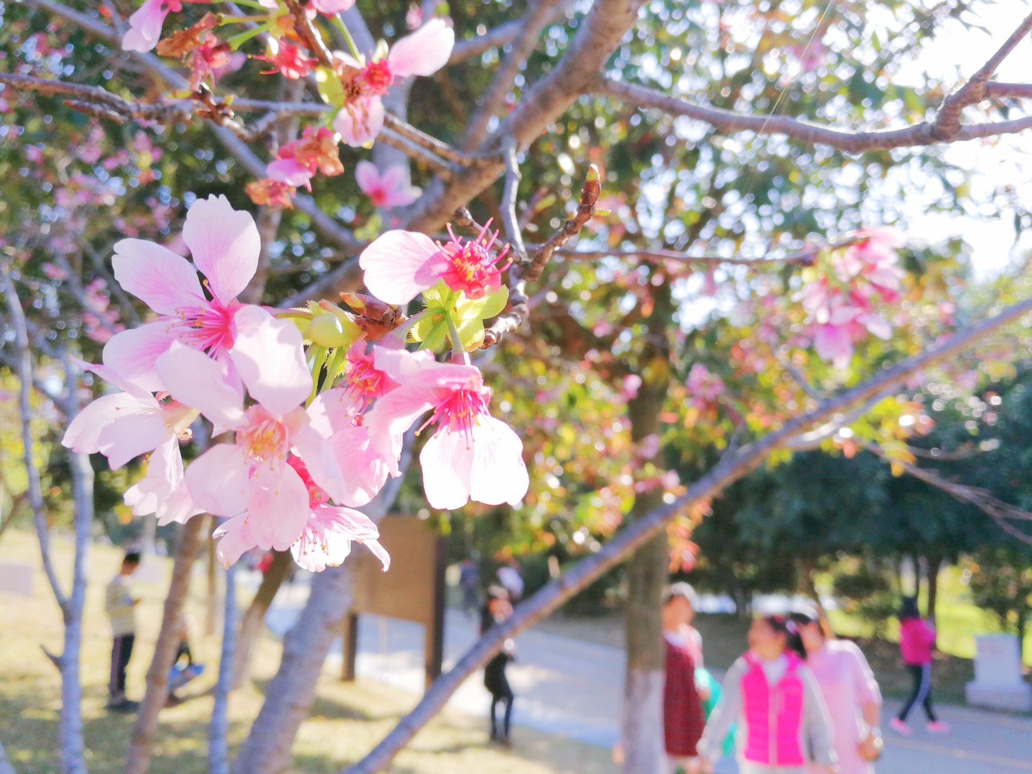 深圳自助遊攻略