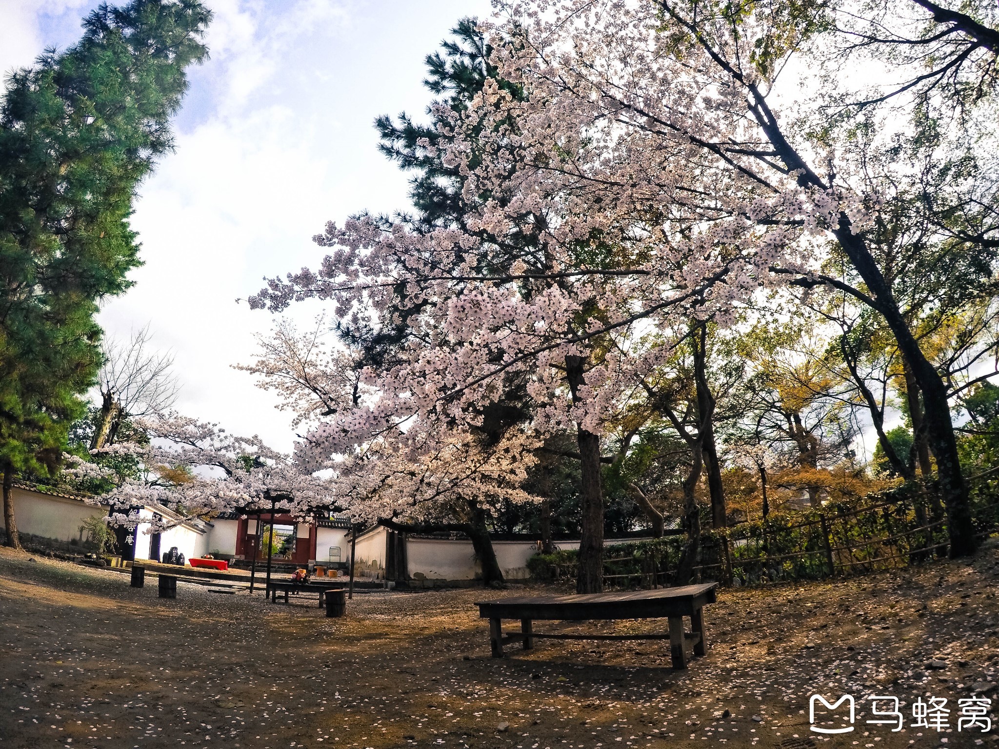 京都自助遊攻略