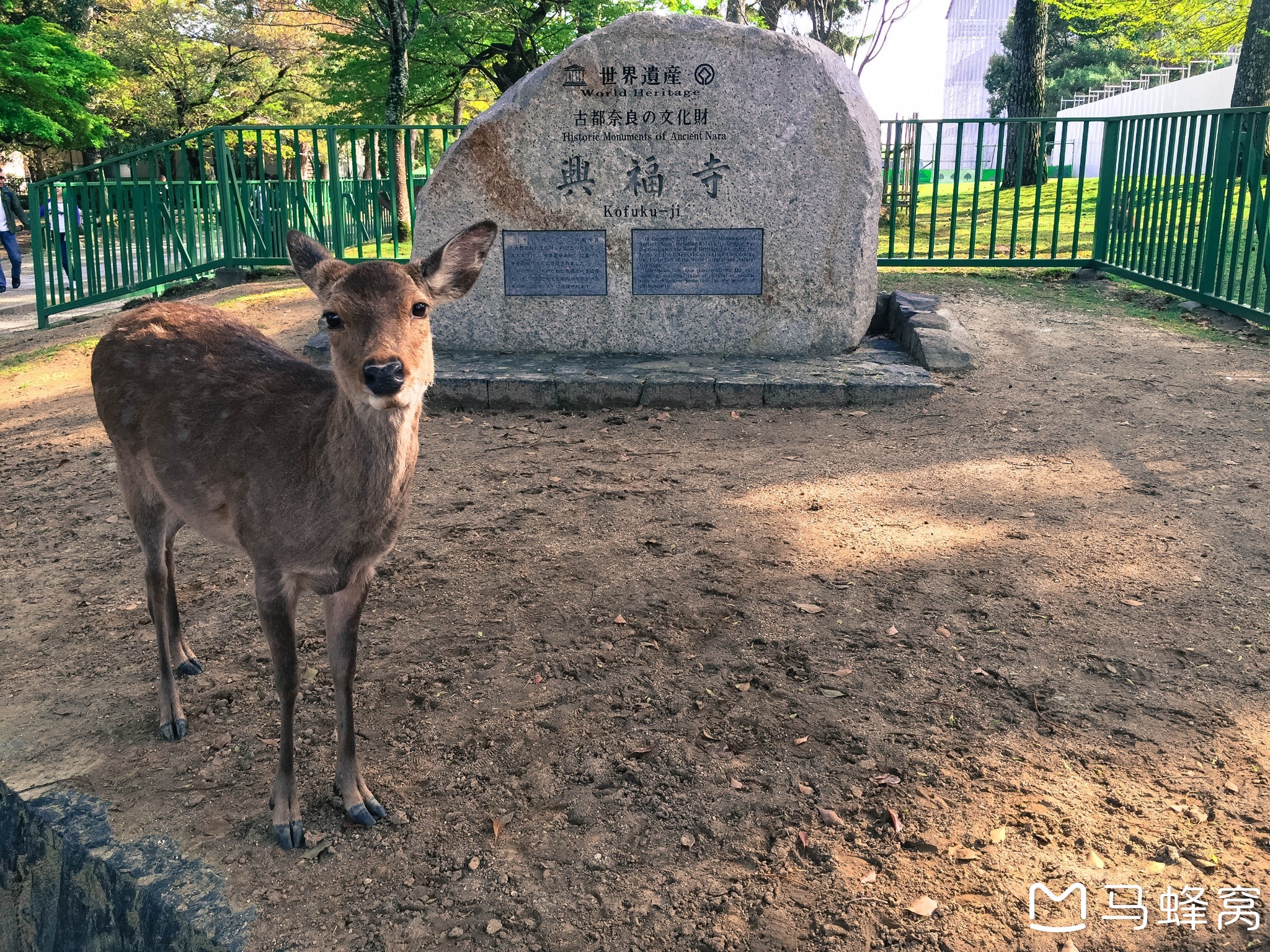 京都自助遊攻略