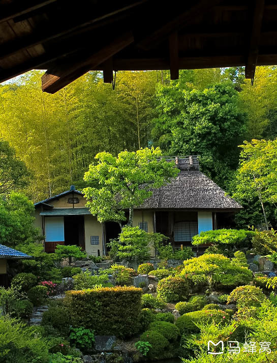 京都自助遊攻略