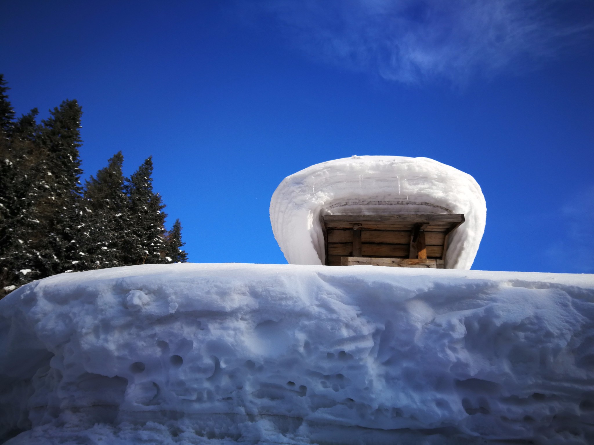 雪鄉自助遊攻略