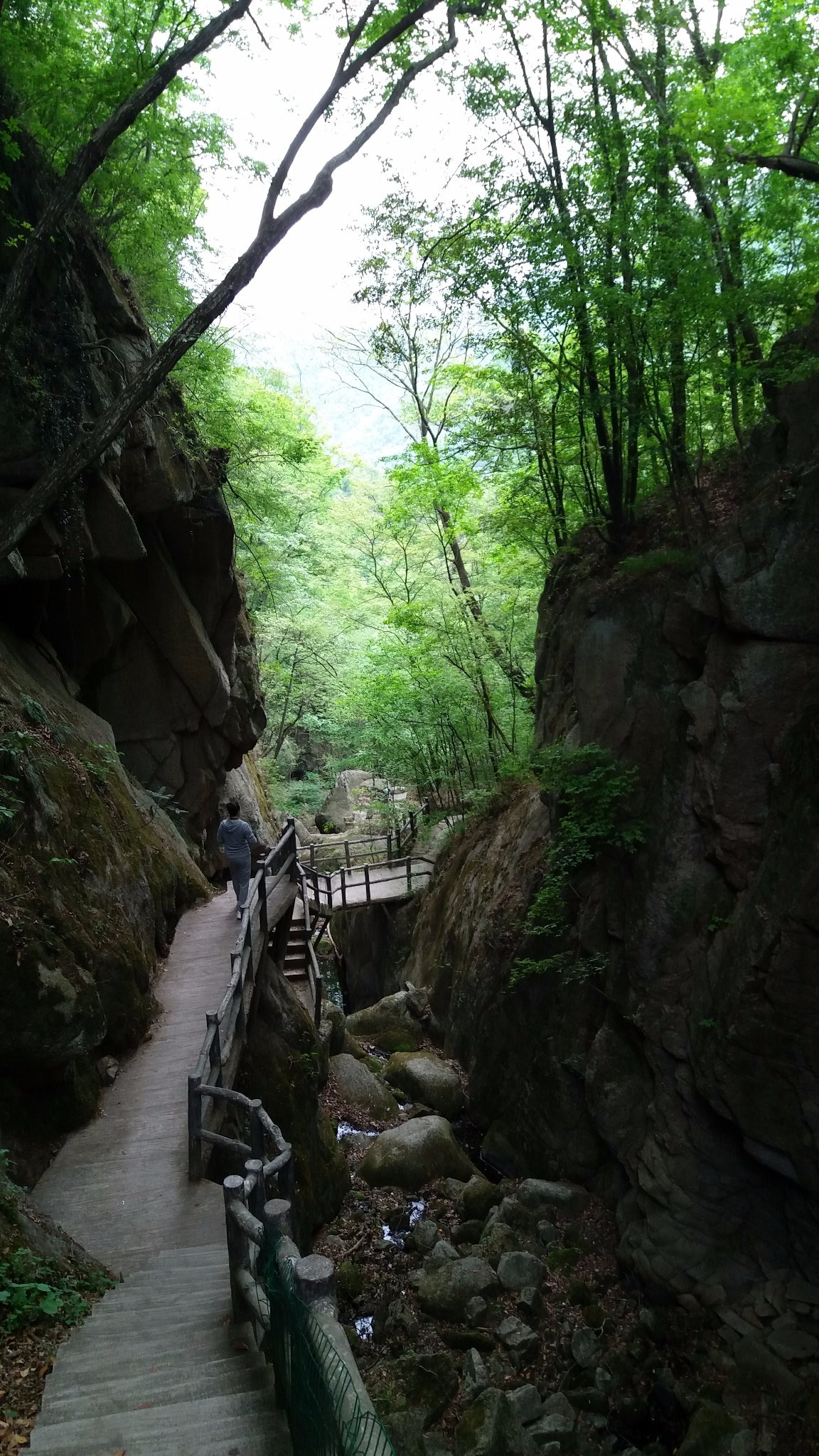 西峡银树沟生态旅游区,西峡自助游攻略 - 马蜂窝