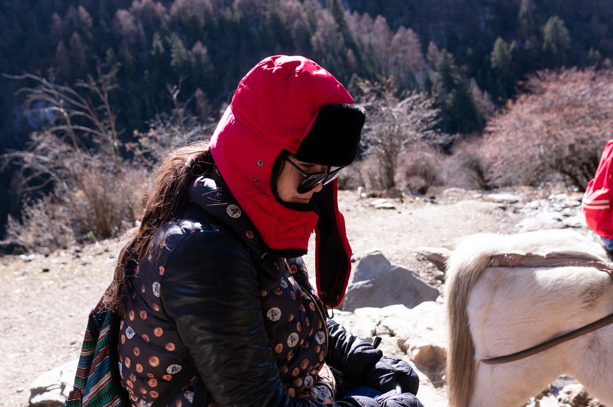 四姑娘山胜败乃兵家常事少侠来年再战