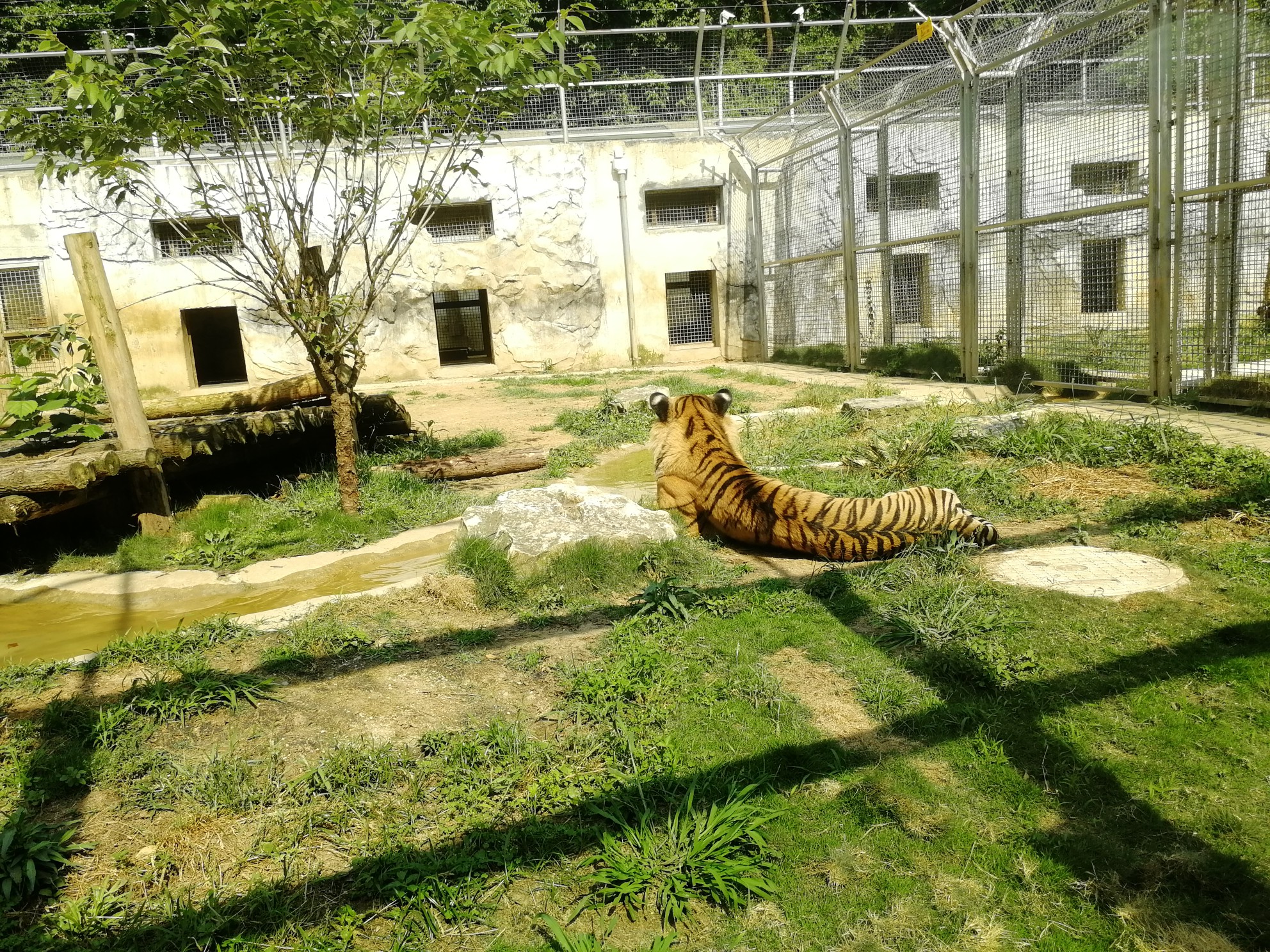 黔靈山動物園黔靈山公園day 1人均費用/2000rmb人物/一個人出行天數/4