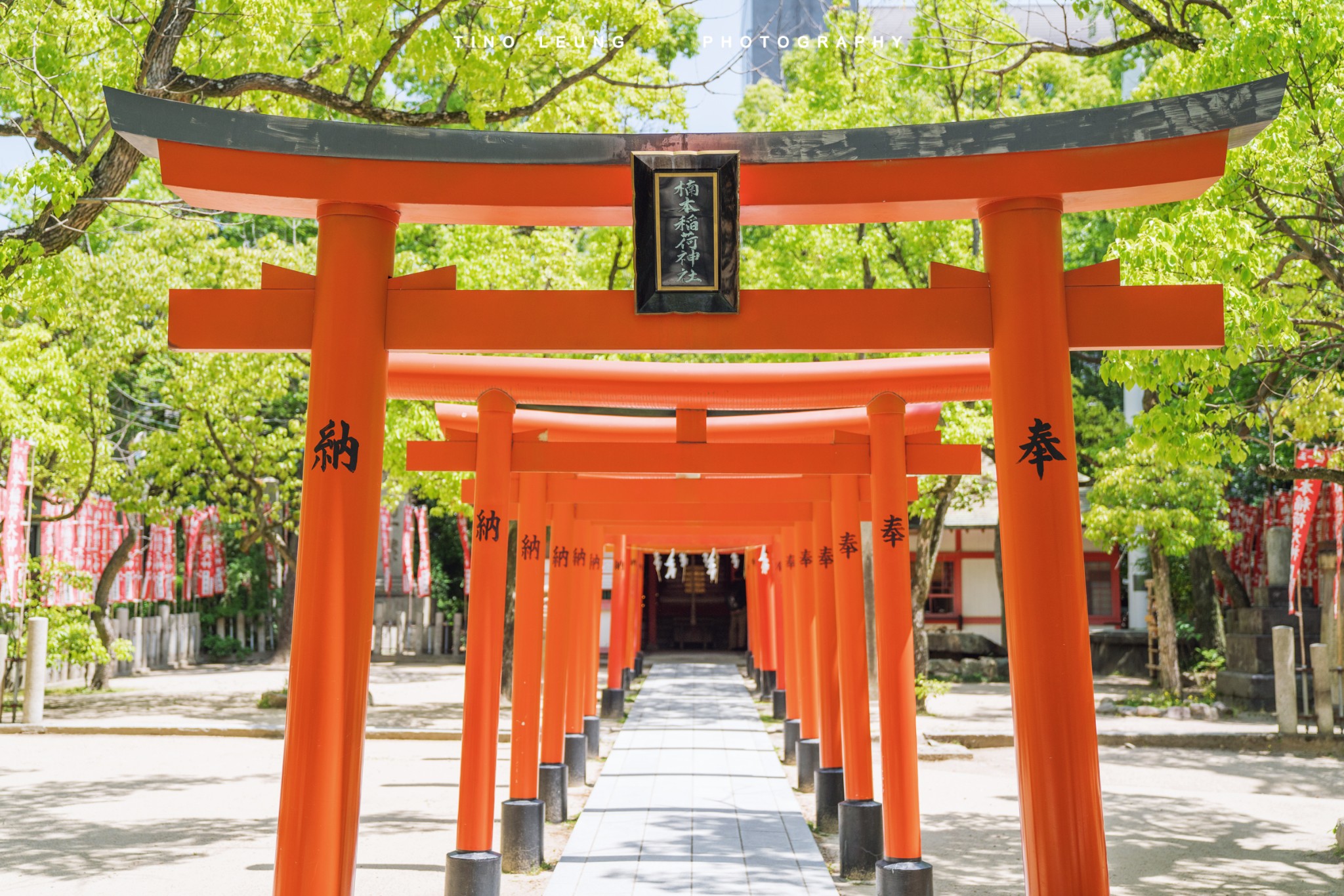 凑川神社图片