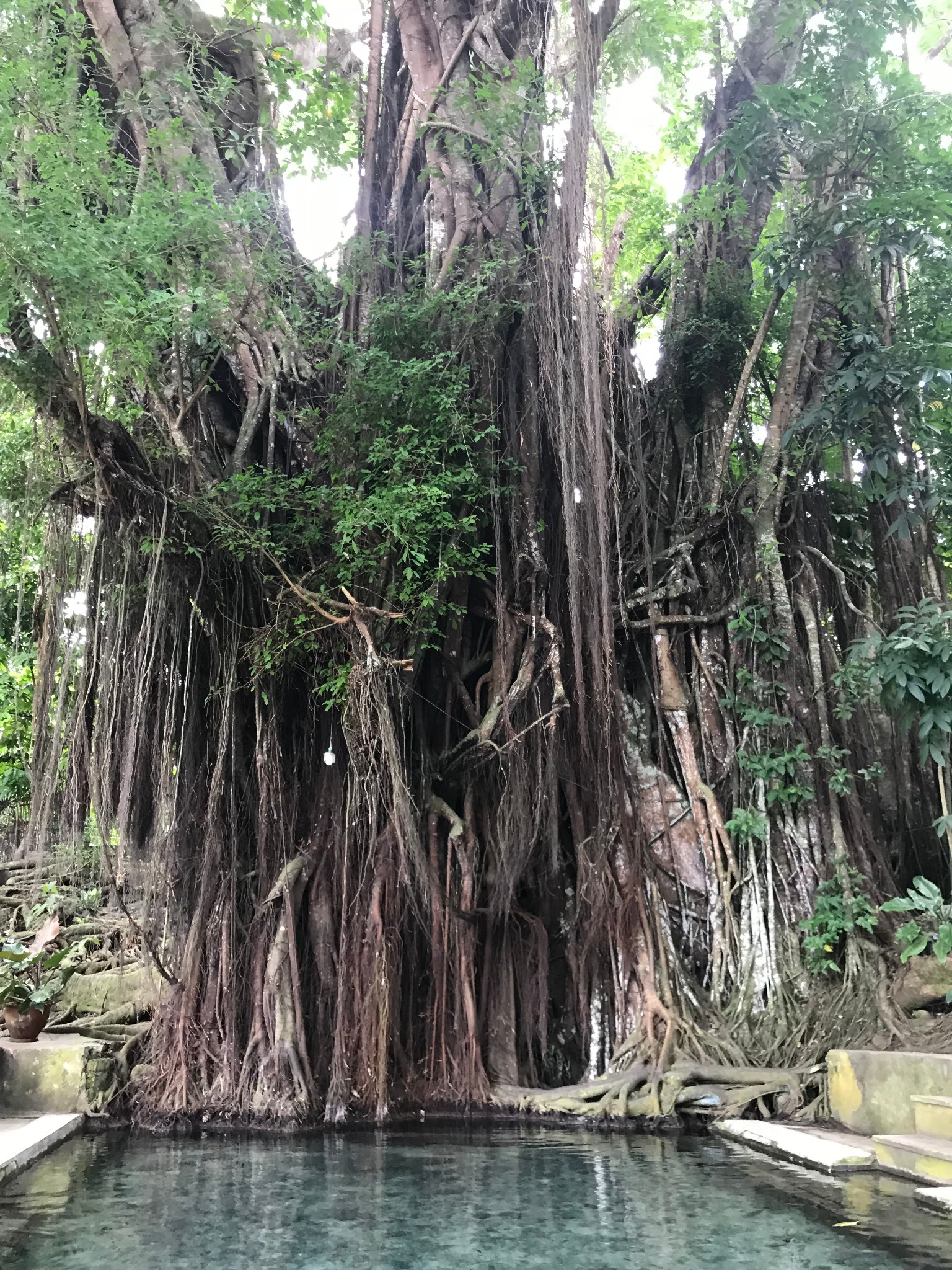 薄荷島自助遊攻略